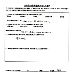 参加者の感想